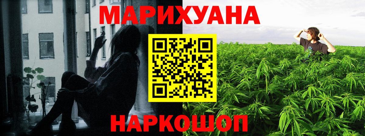 Бошки Шишки сатива  Канабис планчик  Каннабис сатива  Бошки Шишки VHQ  Вход с VPN  Тихорецк 